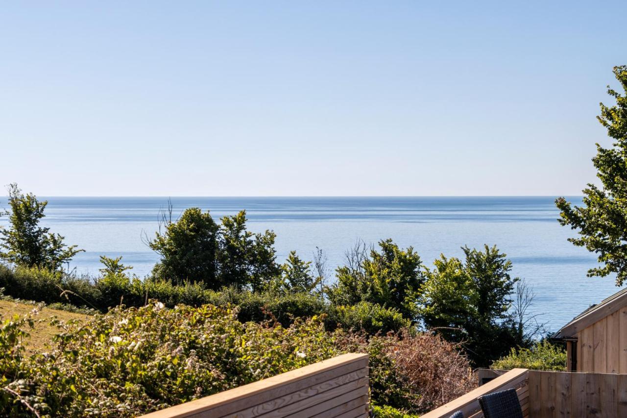 Stunning Coastal In Maidencombe With Sea Views & Garden Stokeinteignhead